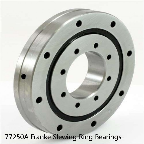 77250A Franke Slewing Ring Bearings