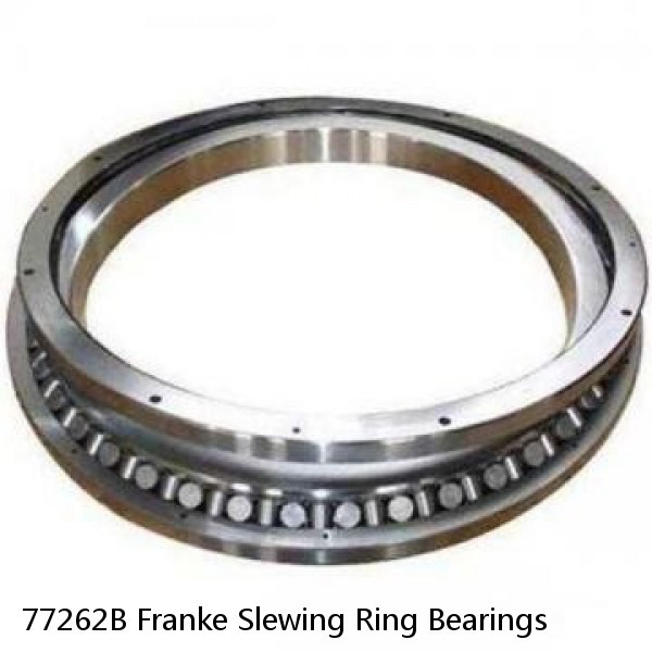 77262B Franke Slewing Ring Bearings