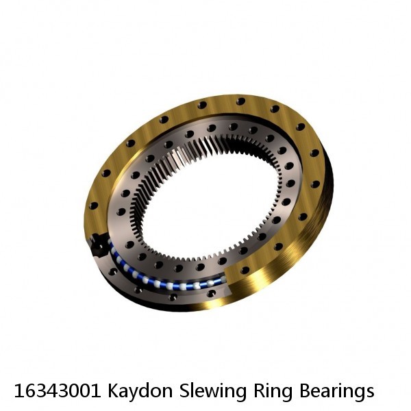 16343001 Kaydon Slewing Ring Bearings