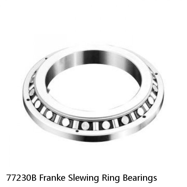 77230B Franke Slewing Ring Bearings