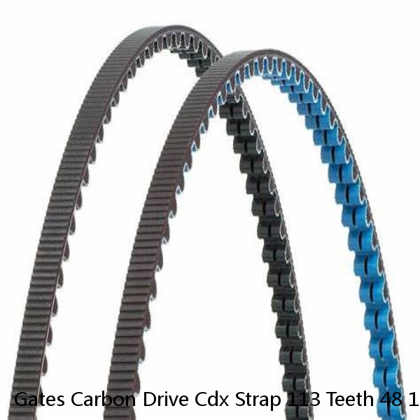 Gates Carbon Drive Cdx Strap 113 Teeth 48 15/16in Black 36 1/12ft-113T-12CT -